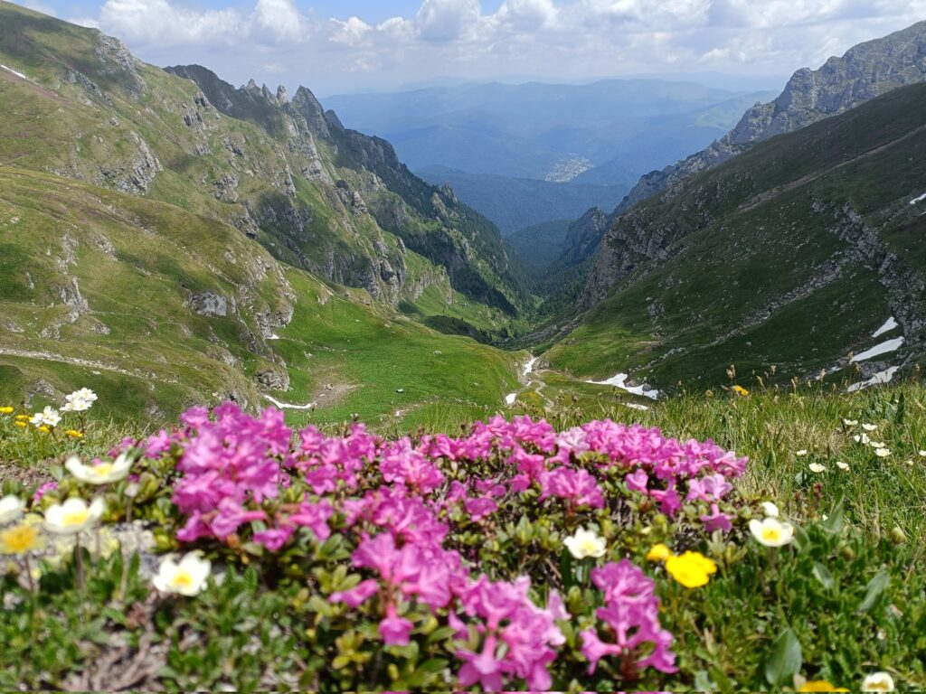 Cerbului Valley in Bucegi Mountains