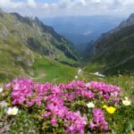 Cerbului Valley in Bucegi Mountains