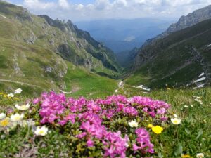 Cerbului Valley in Bucegi Mountains
